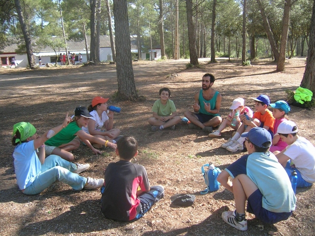  Country activities 